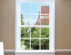 Window with a view of greenery outside